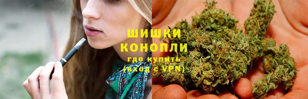 мяу мяу мука Баксан