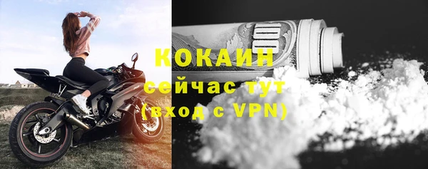 мяу мяу мука Баксан