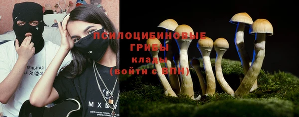 мяу мяу мука Баксан
