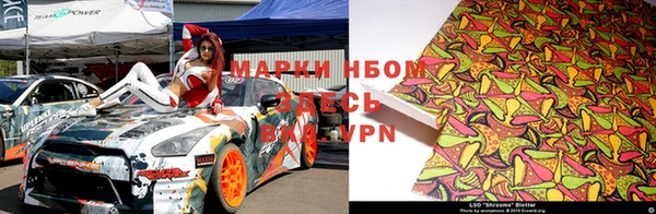прущие грибы Белокуриха