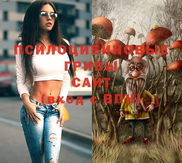 гидра Балахна