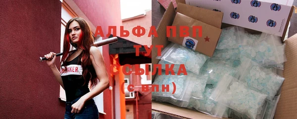 гидра Балахна